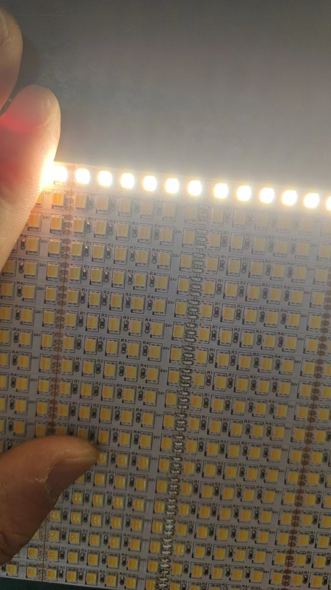 180 2835 dual white led strip.jpg