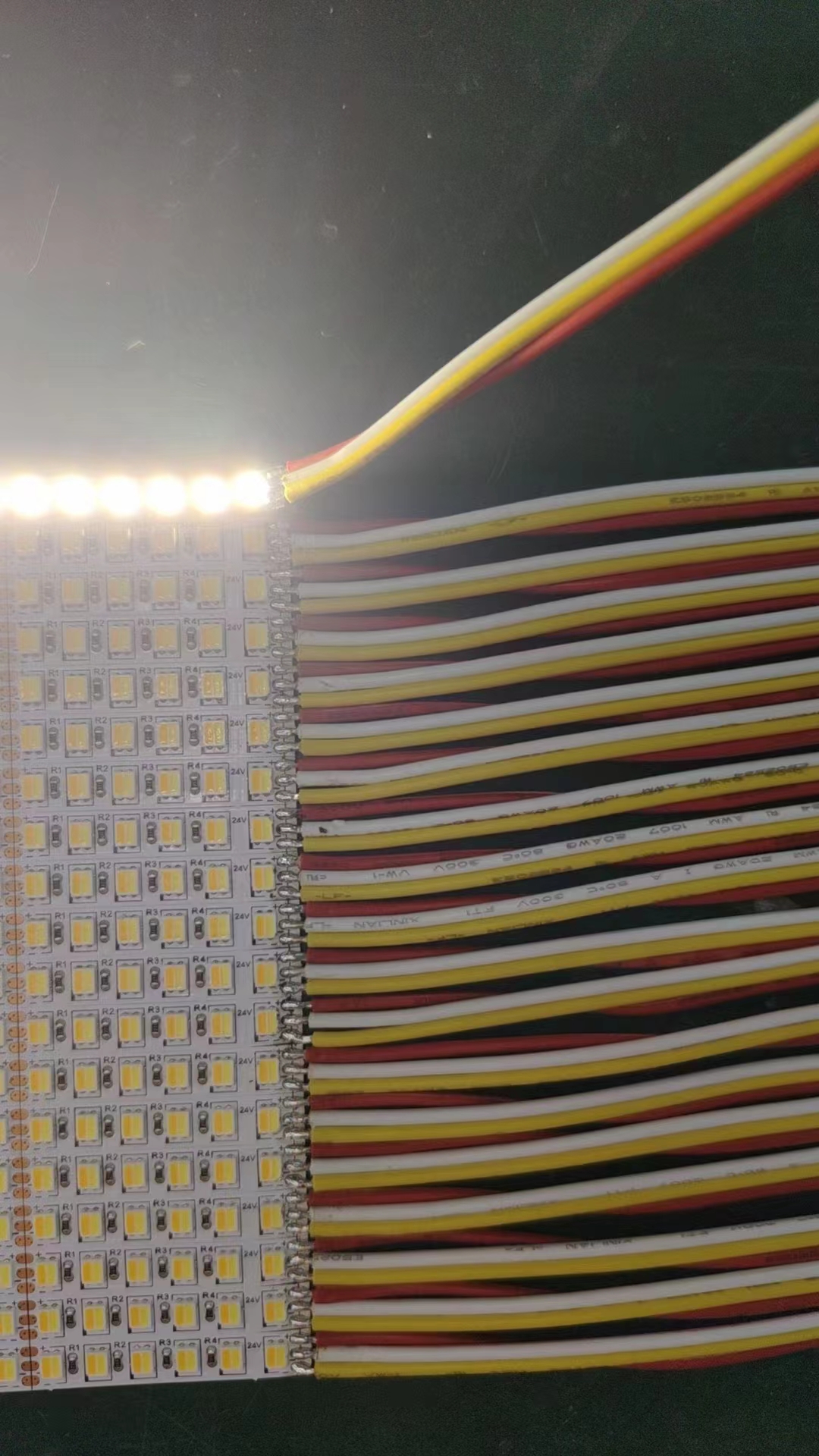 180 2835 dual white led strip1.jpg